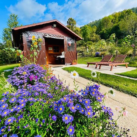 Cottage La Sierra With Jacuzzi Korenica Exterior photo