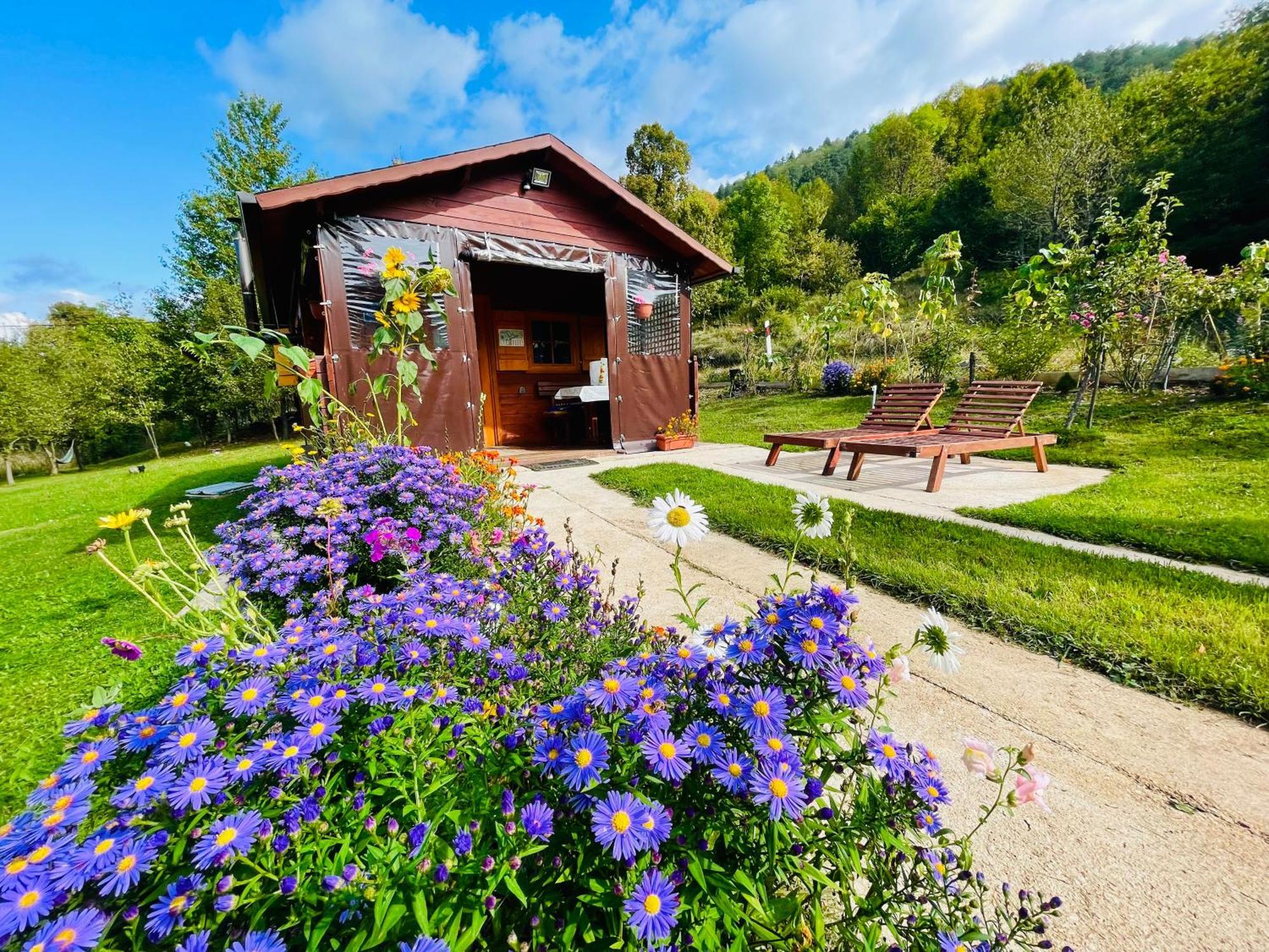 Cottage La Sierra With Jacuzzi Korenica Exterior photo